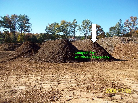 Composting 11 04 08 024 Medium Web view.jpg